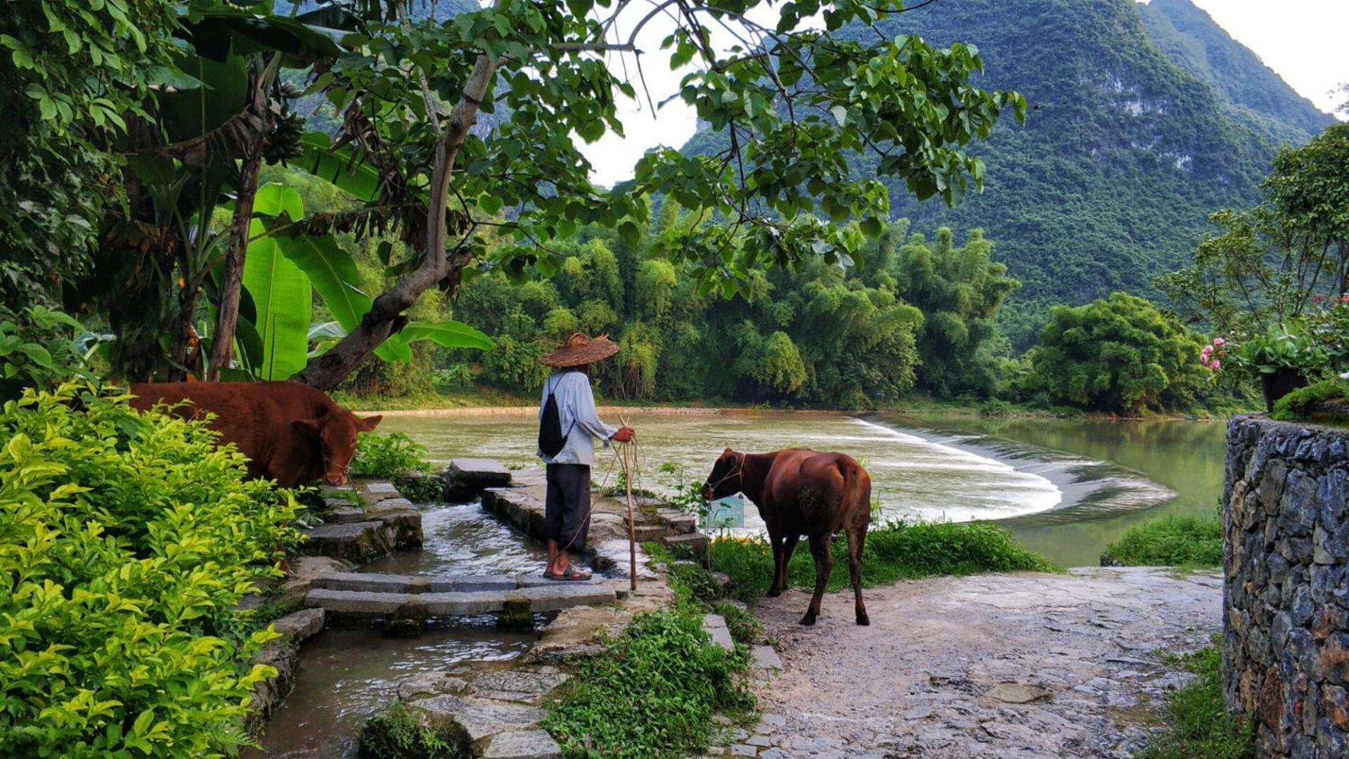 The Apsara Lodge Янгшуо Екстериор снимка